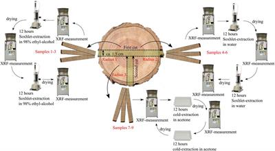 To extract or not to extract? Influence of chemical extraction treatment of wood samples on element concentrations in tree-rings measured by X-ray fluorescence